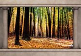 Fotobehang  Woodland Forest Window View | XXL - 312cm x 219cm | 130g/m2 Vlies