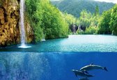 Fotobehang Waterfall Sea Nature Dolphins | XXL - 312cm x 219cm | 130g/m2 Vlies