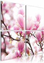 Schilderij - Bloeiende magnolia boom , wit roze , 4 luik