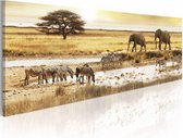 Schilderij - Savanne - Afrika, geel/bruin, premium print