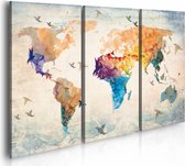 Schilderij - Wereldkaart - Vrij als een vogel, 3luik , multikleur , wanddecoratie , premium print op canvas