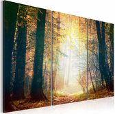 Schilderij - Schoonheid van de Herfst, 3luik , bruin geel , premium print op canvas