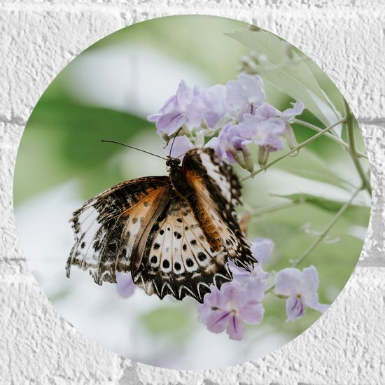 Muursticker Cirkel - Bruin met Zwarte Vlinder met Open Vleugels bij Paarse Bloemen - 20x20 cm Foto op Muursticker