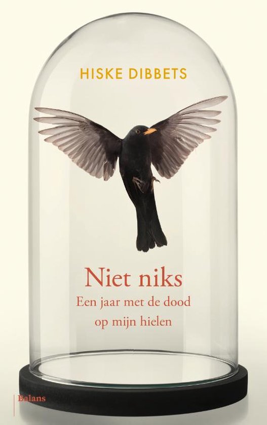 Boek: Niet niks, geschreven door Hiske Dibbets