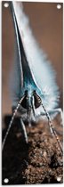 Tuinposter – Boomblauw Vlinder met Dichtgeslagen Vleugels - 30x90 cm Foto op Tuinposter (wanddecoratie voor buiten en binnen)