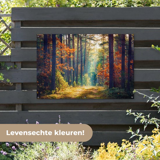 Affiche jardin - Toile jardin - Affiches jardin extérieur - Forêt - Soleil - Nature - Automne - Posters de jardin cm - Jardin