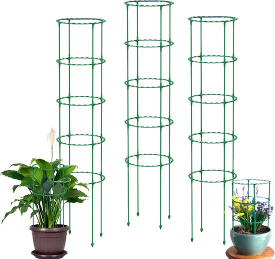 Support de plantes - Support pour plantes grimpantes - Tomate en spirale -  Bâton pour