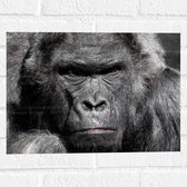 Muursticker - Kop van Booskijkende Gorilla - 40x30 cm Foto op Muursticker