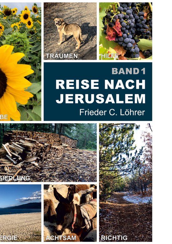 Reise nach Jerusalem 1 Reise nach Jerusalem (ebook), Frieder C. Löhrer bol
