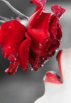 Diamond painting de luxe 50x70cm - Rose rouge sur lèvres rouges