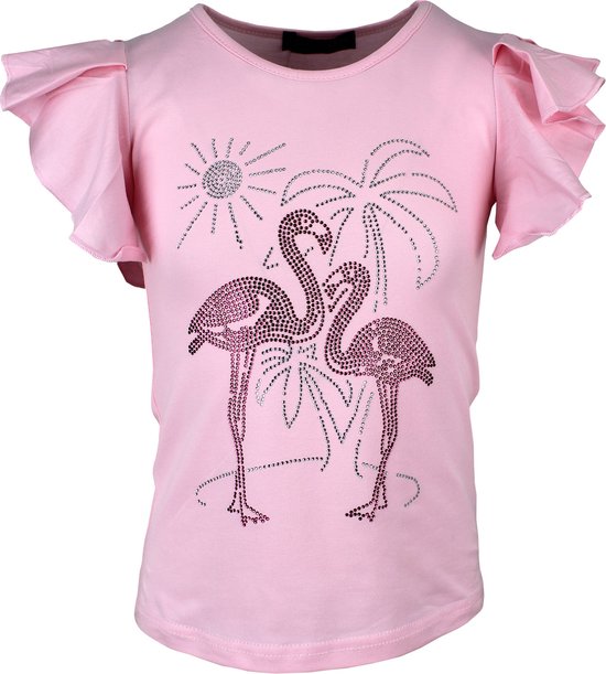 S&C Shirtje Flamingo roze Kids & Kind Meisjes Blauw - Maat: 158/164