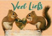 Veel liefs! Een grappige kaart met twee eekhoorns die een hartje vasthouden. Leuk om zo te geven of om bij een cadeau te voegen. Een dubbele wenskaart inclusief envelop en in folie verpakt.