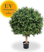 Grote Kunst Buxus Bol 80