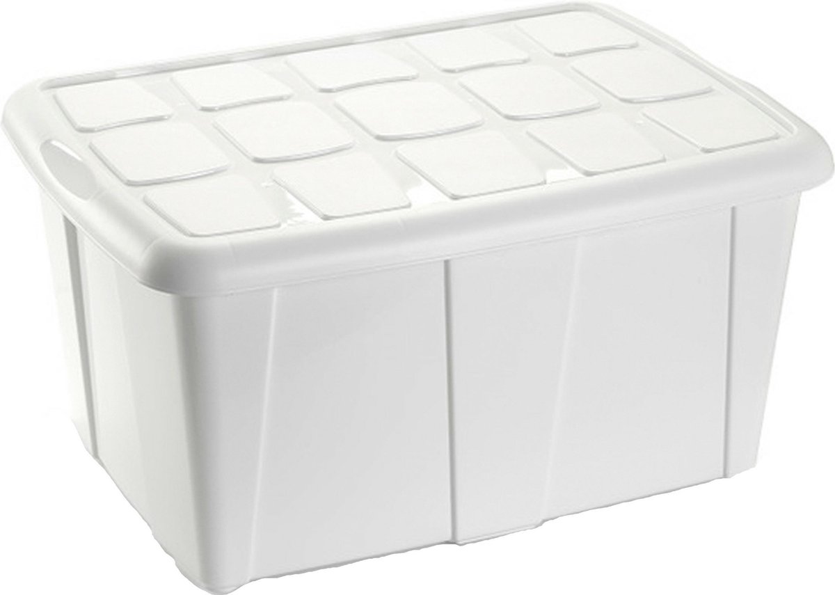 Plasticforte Opslagbox met deksel - Wit - 60L - kunststof - 63 x 46 x 32 cm