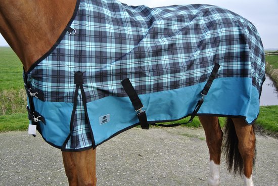 Regendeken luxe 0 gram paardendeken met fleece voering Groene ruit - maat  175 | bol.com