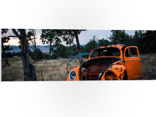 PVC Schuimplaat - Kapotte Oranje Auto in landschap - 90x30 cm Foto op PVC Schuimplaat (Met Ophangsysteem)