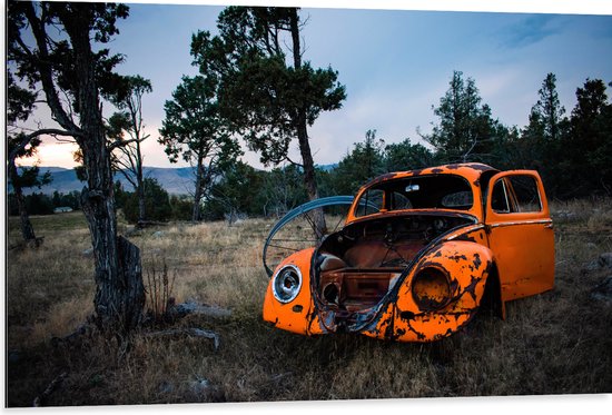 Dibond - Kapotte Oranje Auto in landschap - 105x70 cm Foto op Aluminium (Met Ophangsysteem)