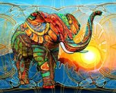 Diamond painting afmeting 50x 60cm - Prachtige kleurrijke olifant