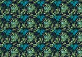Papier peint photo Peint Intissé - Feuilles de Jungle Tropicale - Botanique - 416 x 254 cm