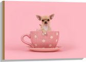 Hout - Kleine Beige Chihuahua Hond in Roze Theekop op Roze Achtergrond - 75x50 cm - 9 mm dik - Foto op Hout (Met Ophangsysteem)