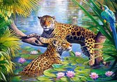 Diamond painting afmeting 50x 70cm - tijgers op mooie achtergrond
