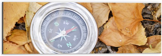 WallClassics - Dibond - Traditioneel Kompas op Stapel Herfstbladeren - 60x20 cm Foto op Aluminium (Met Ophangsysteem)