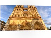 WallClassics - PVC Schuimplaat- Vooraanzicht van de Notre Dame in Parijs - 100x50 cm Foto op PVC Schuimplaat