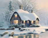 Peinture au Diamond taille 50x 60cm - maison en hiver avec neige