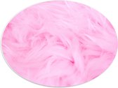 PVC Schuimplaat Ovaal - Roze Veren - 40x30 cm Foto op Ovaal (Met Ophangsysteem)