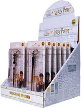 Harry Potter sleutelhanger