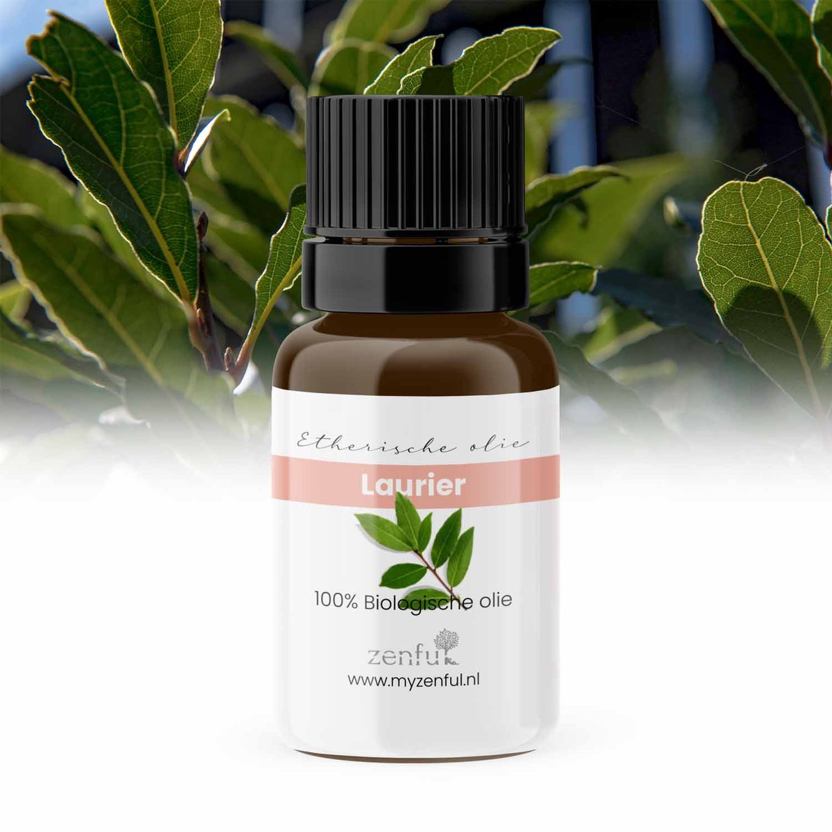 Goedkoopste Laurierolie - Blad - Laurus nobilis - 100 puur & biologisch - 5 ml