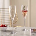 Twee champagneglazen met verticale ribbels. Eén glas bevat champagne met frambozen en takjes.