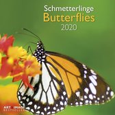 Vlinders - Butterflies Kalender 2020 incl. jaarposter