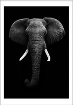 Elephant (29,7x42cm) - Wallified - Tekst - Zwart Wit - Poster - Wall-Art - Woondecoratie - Kunst - Posters