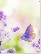 Tuinschilderij Lavendel - Vlinder - Bloemen - 60x80 cm - Tuinposter - Tuindoek - Buitenposter