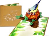 Popcards Cartes Popup - Nid d'Oiseau Oiseau Ornemental Coloré avec Jeunes Oiseaux Carte de Déménagement de Printemps Nouvelle Maison Nid d'Oiseau Pasen Carte de Pâques Carte 3D Carte de Voeux