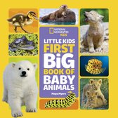 National Geographic Little Kids First Big Books- National Geographic Little Kids First Big Book of Baby Animals