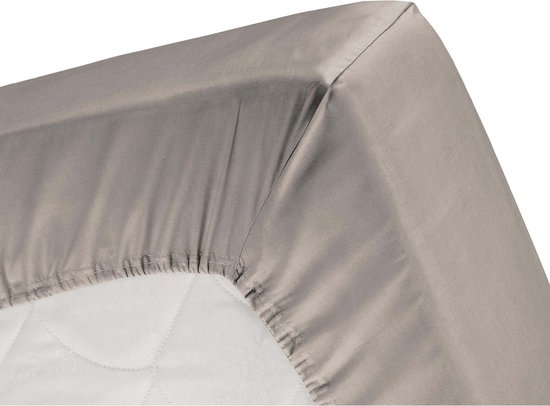 Vidaxl hoeslakens jersey 2 st 160x200 cm katoen taupe