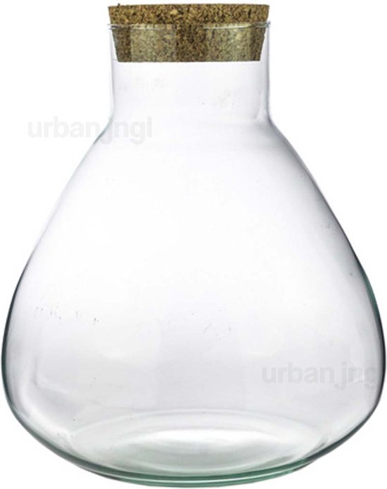 Stekkie Extra-Large Ecosysteem Met Lamp | Planten Terrarium In Een Fles 76 Cm O 48 Cm