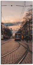 Dibond - Tram door de Straten van Amsterdam - 50x100 cm Foto op Aluminium (Wanddecoratie van metaal)