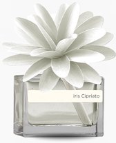 Flower diffuser 30ml iris cirpiato