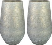 Ter Steege Pot de fleurs/pot de plantes - 2x - gris argent métallique - D23/H36 cm - pour l'intérieur
