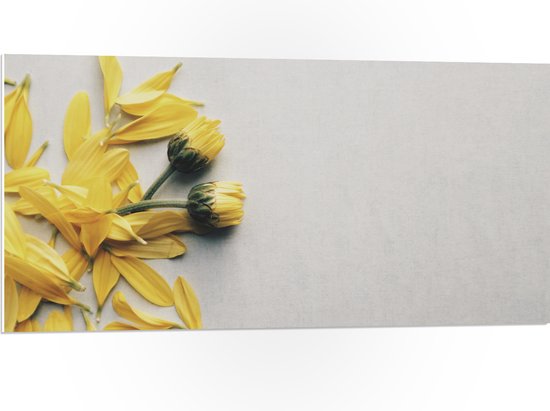 WallClassics - PVC Schuimplaat - Gele Bloemen met Losse Bloemblaadjes op Witte Achtergrond - 100x50 cm Foto op PVC Schuimplaat (Met Ophangsysteem)