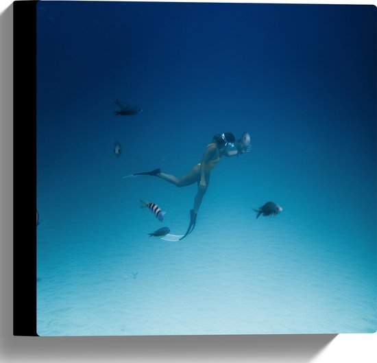 WallClassics - Canvas - Duiker Zwemmend met Vissen op Zeebodem - 30x30 cm Foto op Canvas Schilderij (Wanddecoratie op Canvas)