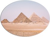 Dibond Ovaal - Piramides van Gizeh in de Woestijn - 108x81 cm Foto op Ovaal (Met Ophangsysteem)