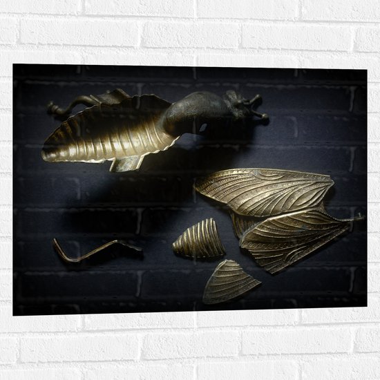 Muursticker - Kapotte Goude Vlieg op Zwarte Achtergornd - 80x60 cm Foto op Muursticker