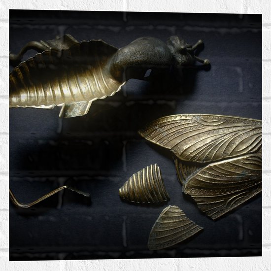 Muursticker - Kapotte Goude Vlieg op Zwarte Achtergornd - 50x50 cm Foto op Muursticker