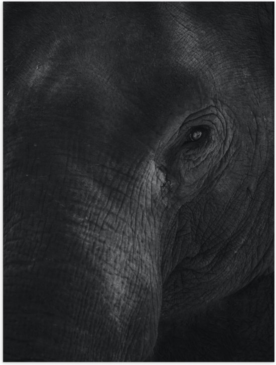 WallClassics - Poster (Mat) - Zwart Wit Foto van Olifant - 30x40 cm Foto op Posterpapier met een Matte look