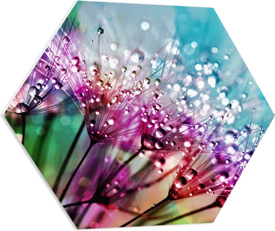WallClassics - PVC Schuimplaat Hexagon - Meerkleurige Paardenbloem - 70x60.9 cm Foto op Hexagon (Met Ophangsysteem)