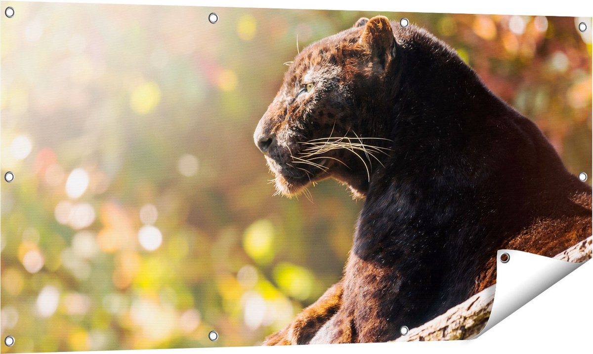 Gards Tuinposter Zwarte Panter vanaf de Zijkant - 120x60 cm - Tuindoek - Tuindecoratie - Wanddecoratie buiten - Tuinschilderij Multikleur